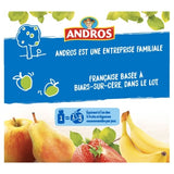 Compote pomme, poire, fraise & banane ANDROS