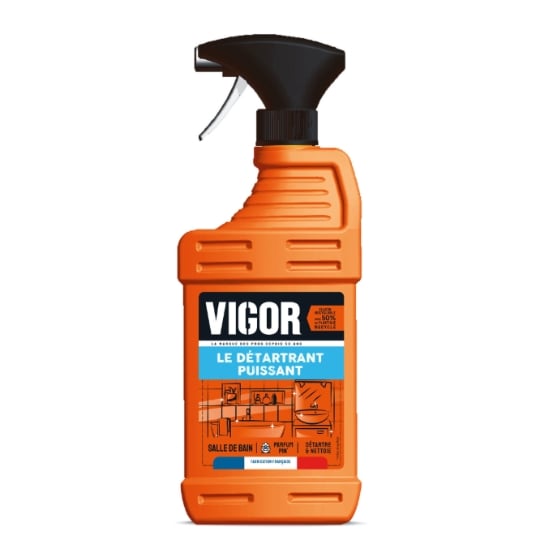 Nettoyant Ménager Salle de Bain VIGOR