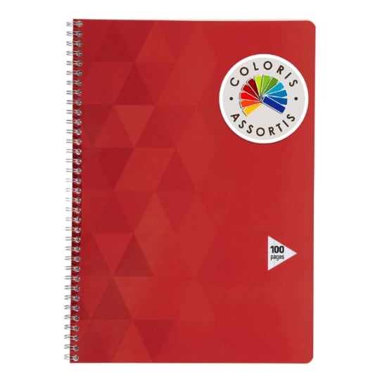 Cahier 21 x 29,7 cm - 100 pages - Grands carreaux CARREFOUR