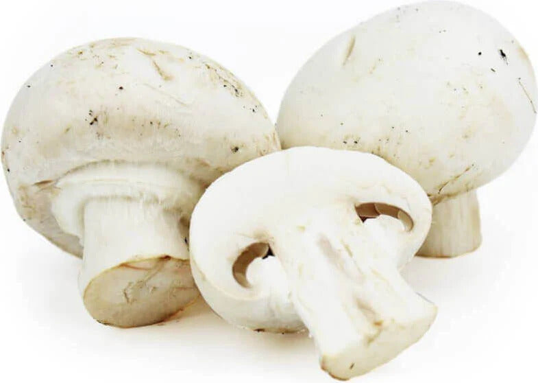 CHAMPIGNON Blanc Barquette 250g Import France par Avion