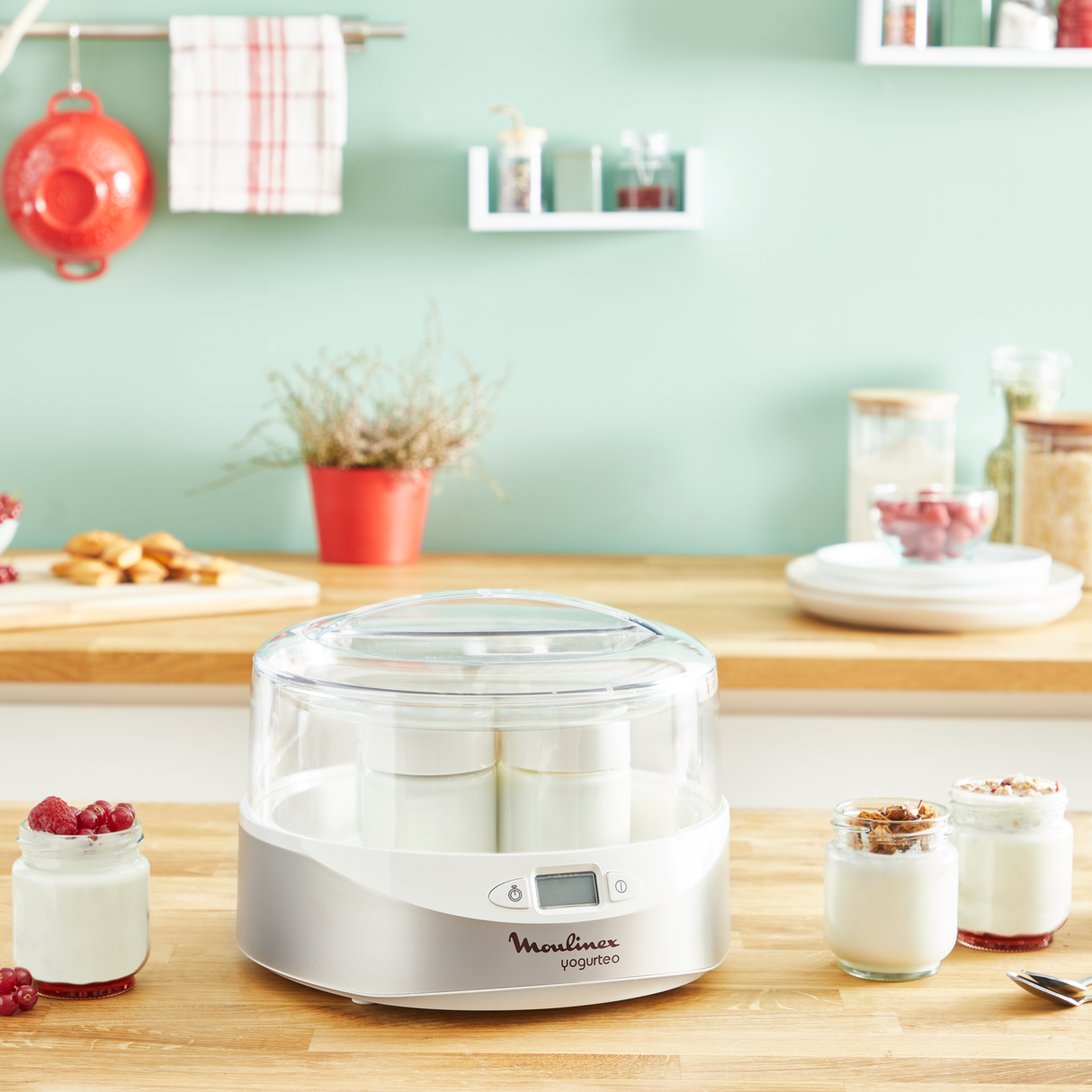 MOULINEX Yaourtière Yogurteo 7 Pots YG231E32