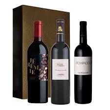 VINS DU SUD Coffret Dégustation 6x37,5 cl (Muscat/Fitou/Corbières/Roussillon/Languedoc/Minervois)