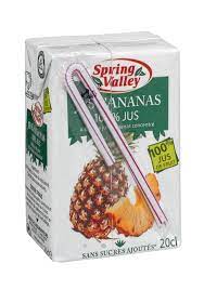 SPRING VALLEY 100% Jus d'Ananas Brique 20cl