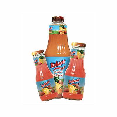 BASHAYER Nectar de Fruits Cocktail 200 ml