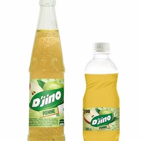 DJINO Pomme Bouteille PET 500 ml