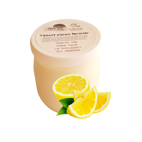 BURGEOGIA Yaourt au Citron 125 g